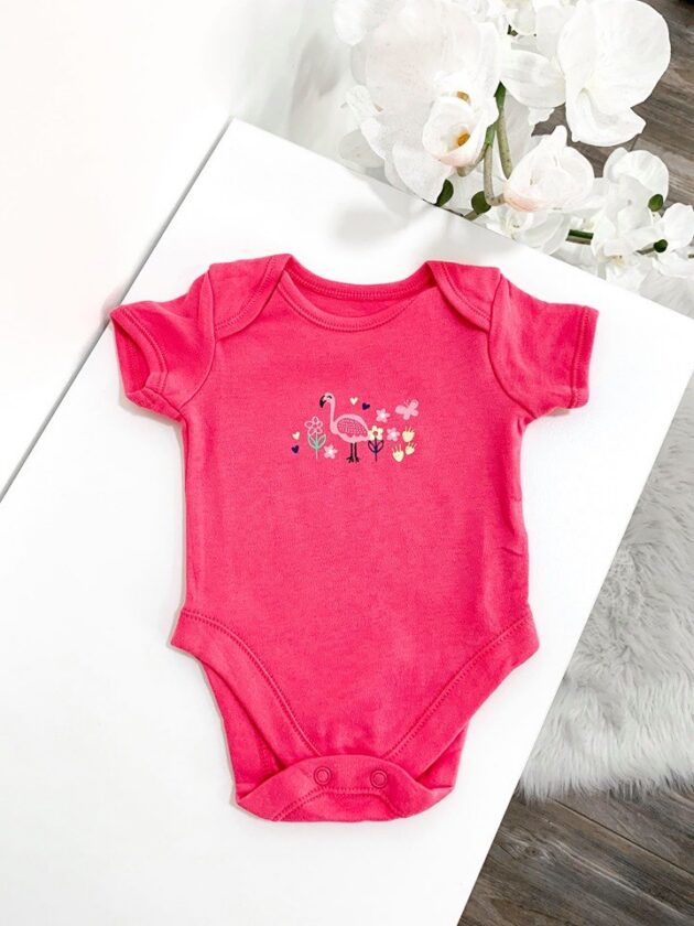 Body Bird – toote pilt