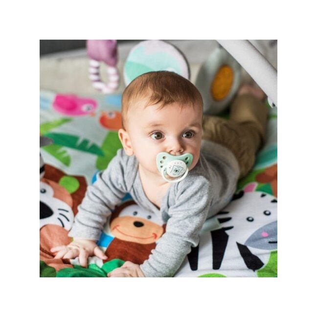 BabyOno anatoomiline silikoonlutt 0-3m+ – ohutu ja mugav beebile – toote pilt