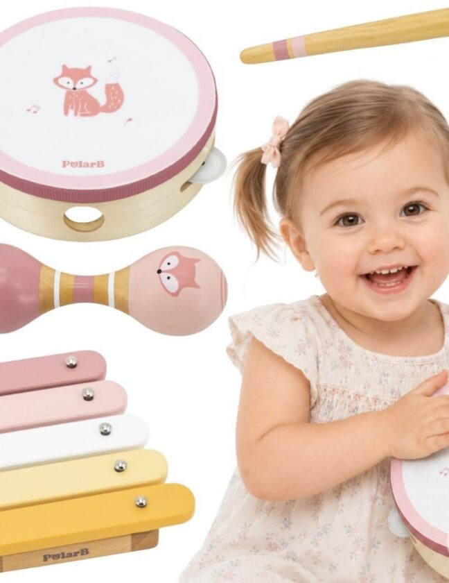 Viga Toys PolarB Musical Instrument komplekt Pink – toote pilt