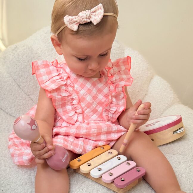 Viga Toys PolarB Musical Instrument komplekt Pink – toote pilt