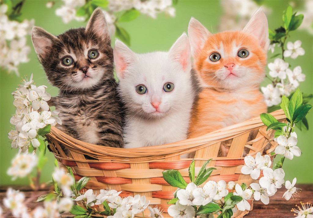 Animals Brothers in Fur 2×60-osaline pusle Clementoni – detailvaade 2