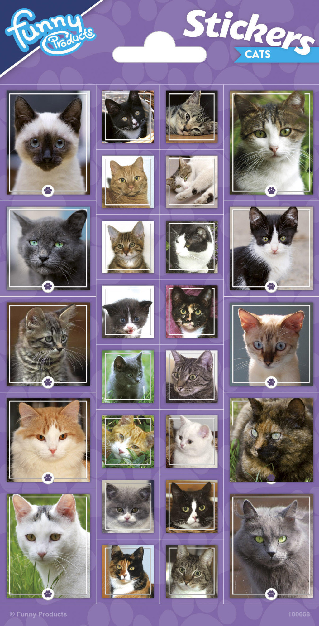 Animals Funny Cat kleeps – tootepilt