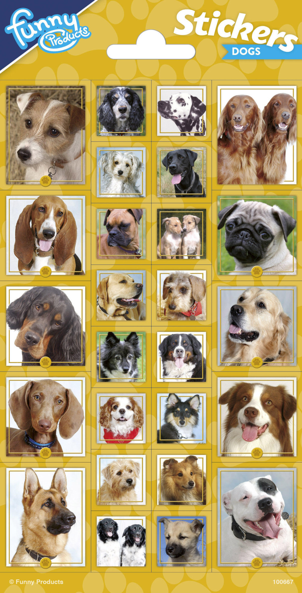 Animals Funny Dog kleeps – tootepilt