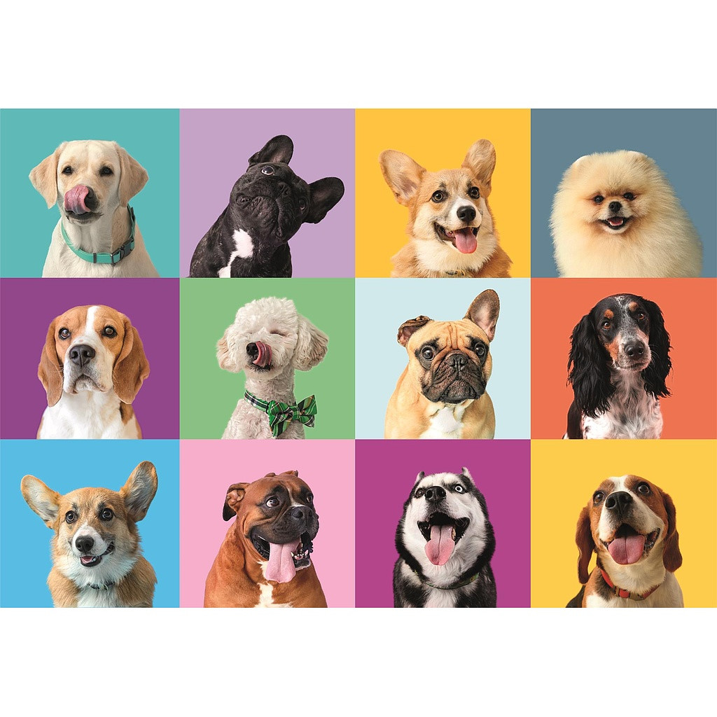 Animals Funny Faces Clementoni 300-osaline pusle – detailvaade 2