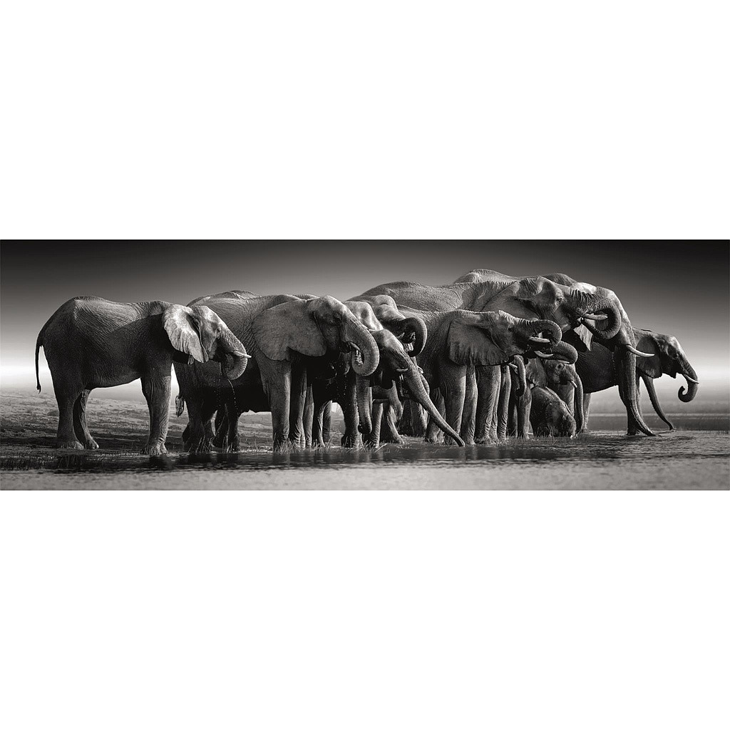 Animals Herd of Giants Elephant 1000-osaline panoramic Compact pusle Clementoni – detailvaade 2