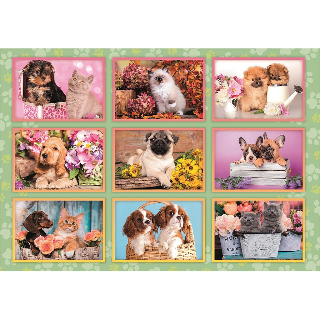 Animals Puppies Collage 180-osaline Clementoni pusle – detailvaade 2