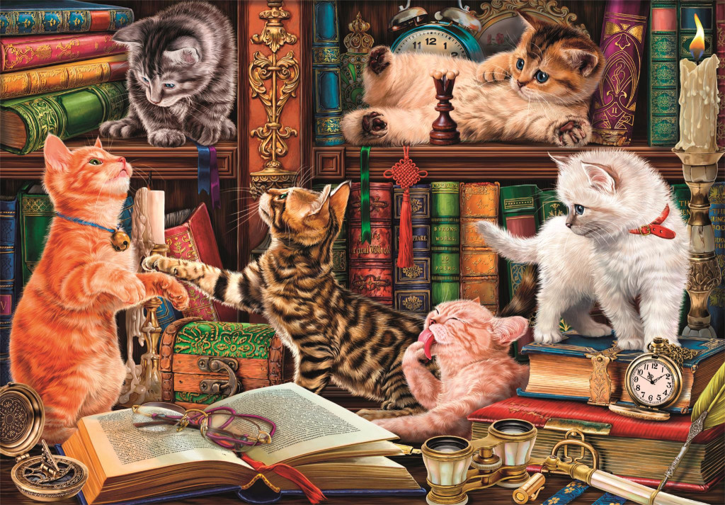 Cat Curious Whiskers 1000-osaline Compact pusle Clementoni – detailvaade 2