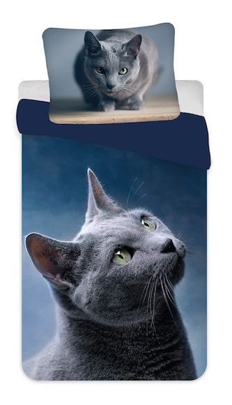 Cat Dark tekikott 140x200cm, 70x90 cm mikrokiud – tootepilt