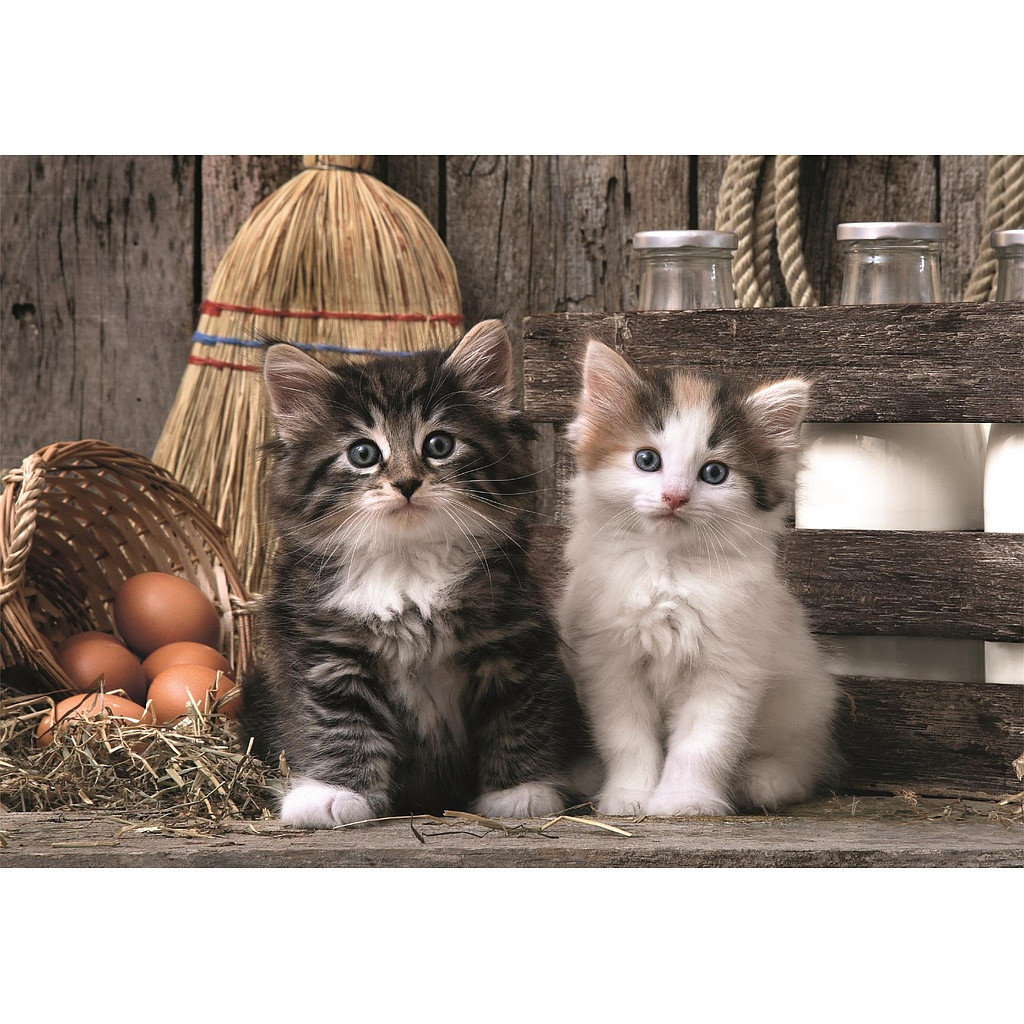 Cat Lovely 1000-osaline Compact pusle Clementoni – detailvaade 2