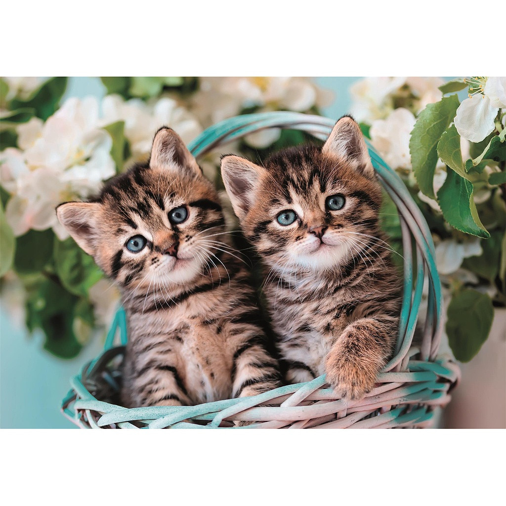 Cat Lovely Twins 60-osaline Clementoni pusle – detailvaade 2