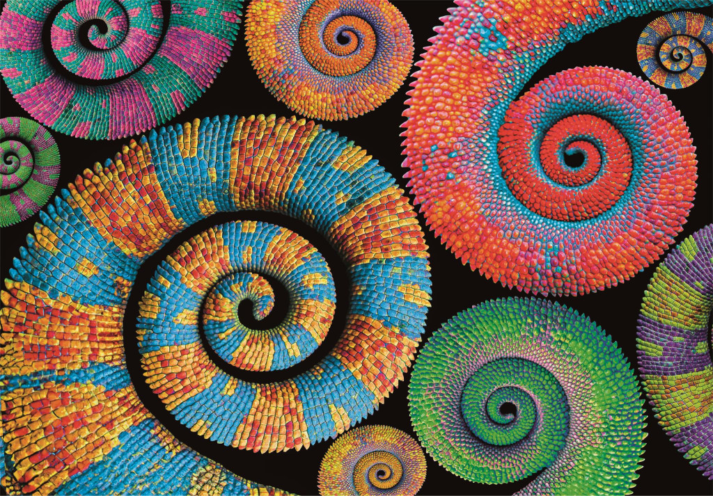 Colour Curly Tails 500-osaline Compact pusle Clementoni – detailvaade 2