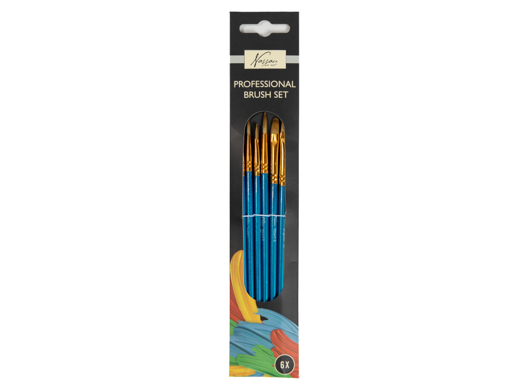 Colour Nassau Professional 6-osaline pintslikomplekt – tootepilt