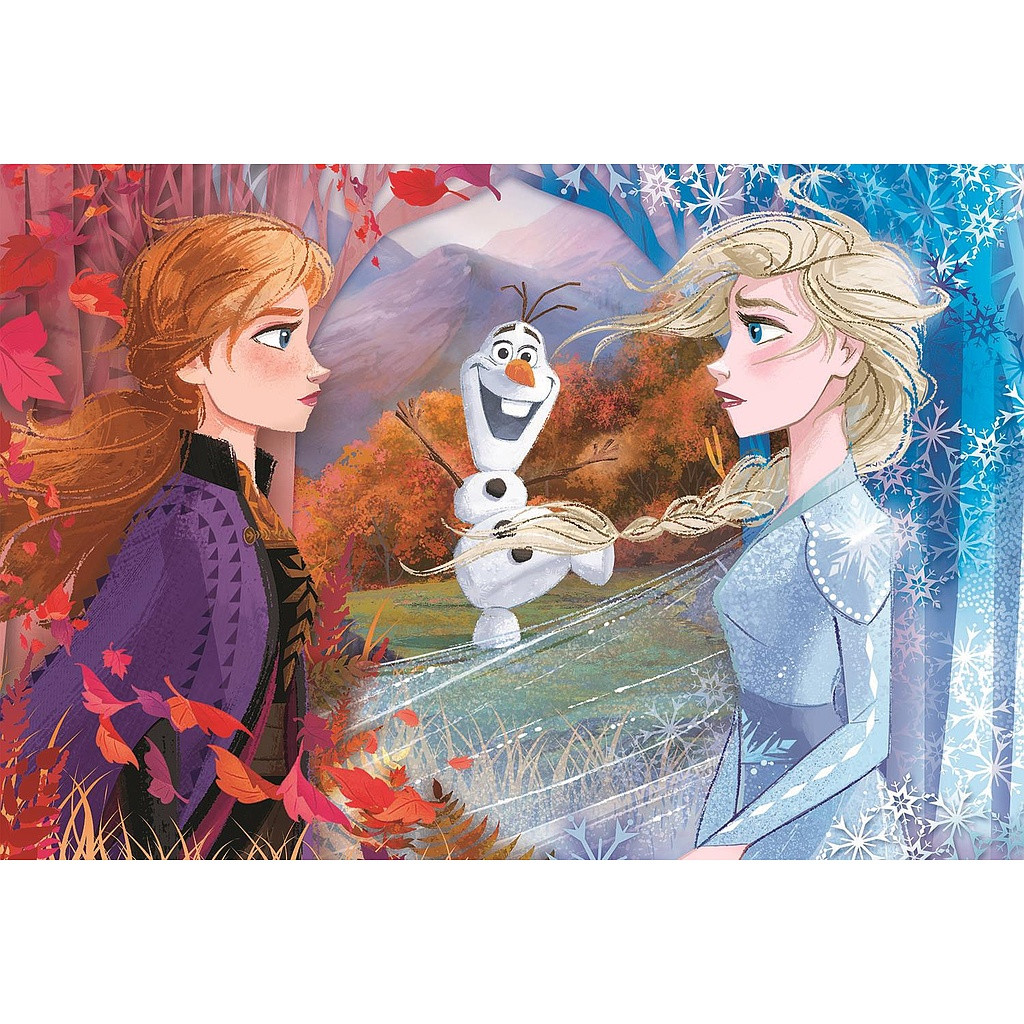 Disney Frozen Contrasts 60-osaline maxi pusle Clementoni – detailvaade 2
