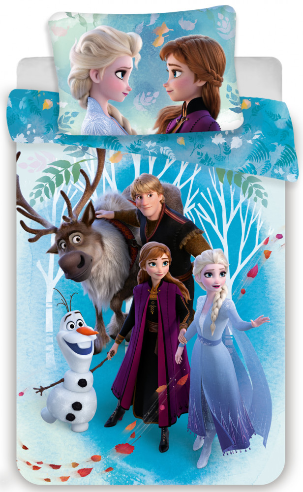 Disney Frozen Whispering Wind voodipesukomplekt 140×200cm, 70×90 cm – tootepilt