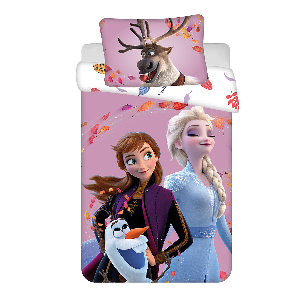 Disney Frozen Wind children's bedding 100x135 cm, 40x60 cm – tootepilt