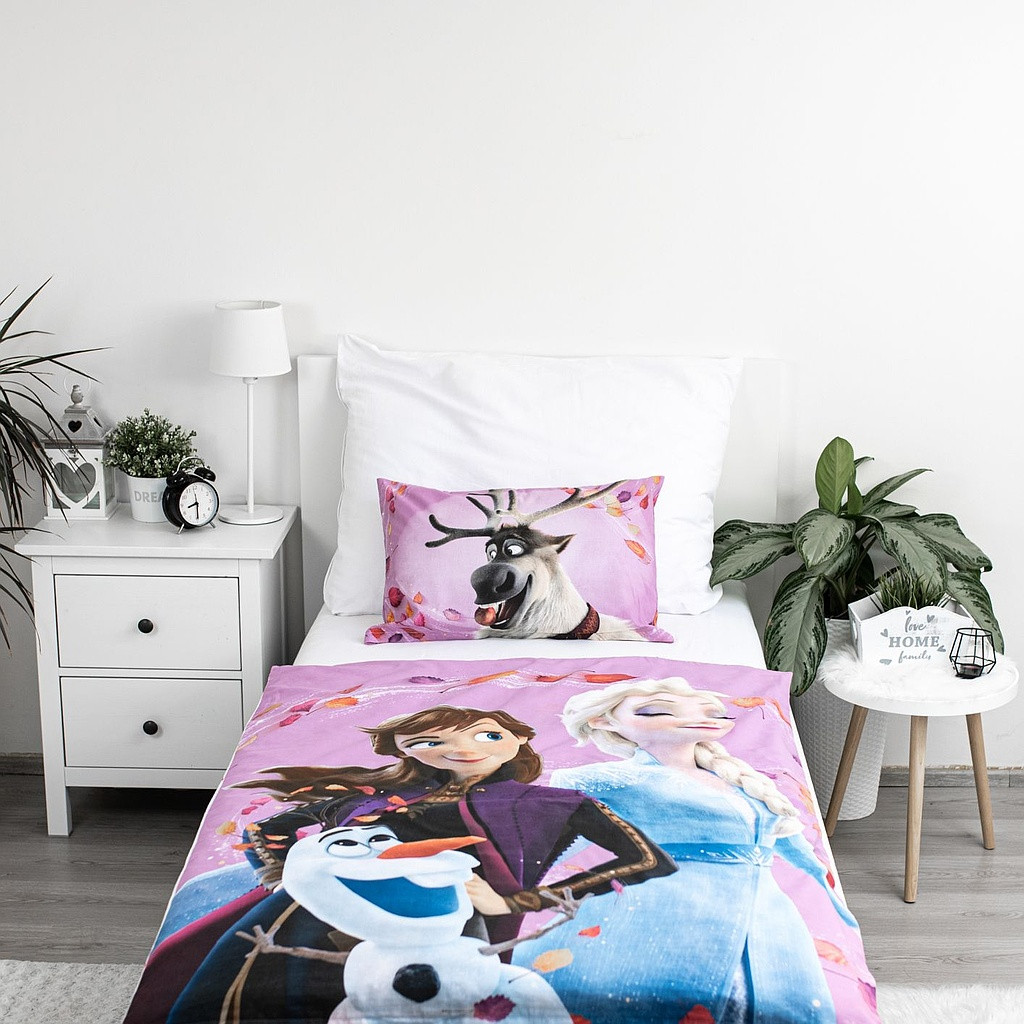 Disney Frozen Wind children's bedding 100x135 cm, 40x60 cm – detailvaade 2