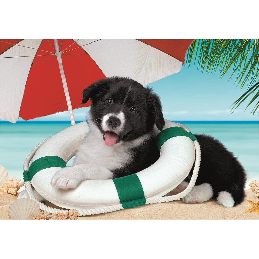 Dog Beach 104-osaline Clementoni pusle – detailvaade 2