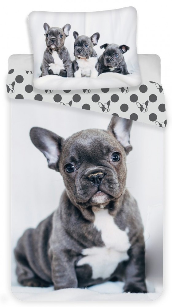 Dog French Bulldogs voodipesukomplekt 140×200cm, 70×90 cm – tootepilt