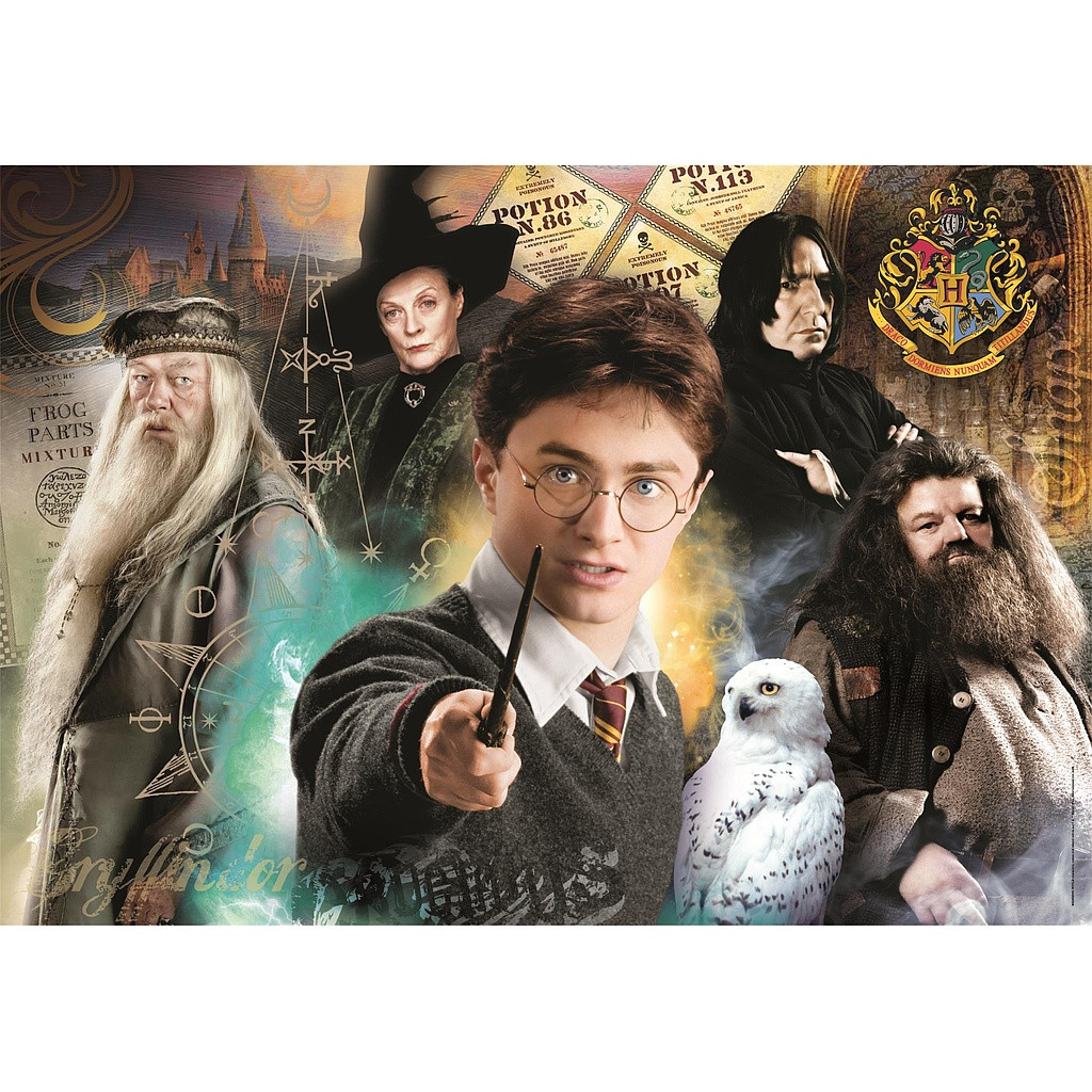 Harry Potter League 500-osaline pusle Clementoni – detailvaade 2