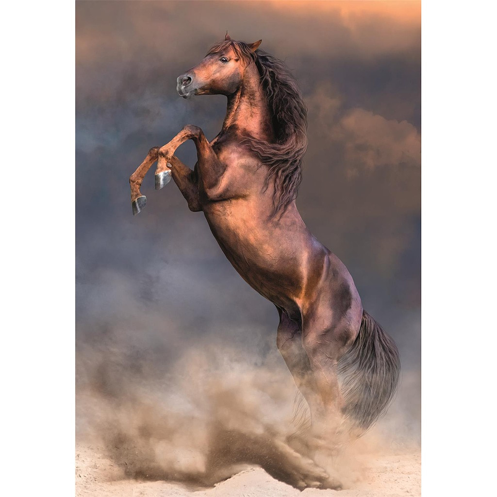 Horses Wild Stallion 500-osaline Compact pusle Clementoni – detailvaade 2