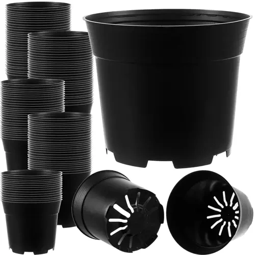 Istikupotid 2 l, 500 tk