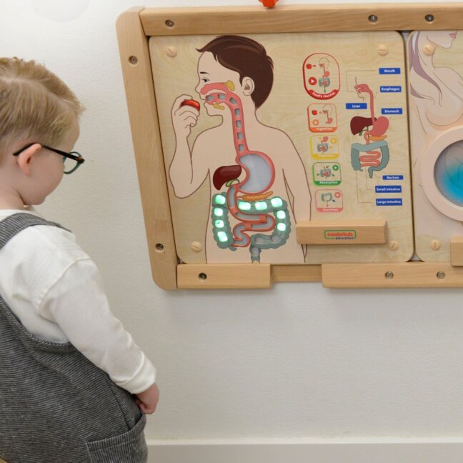 digestive system tahvel mäng – detailvaade
