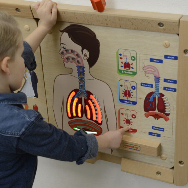 respiratory system tahvel mäng – detailvaade