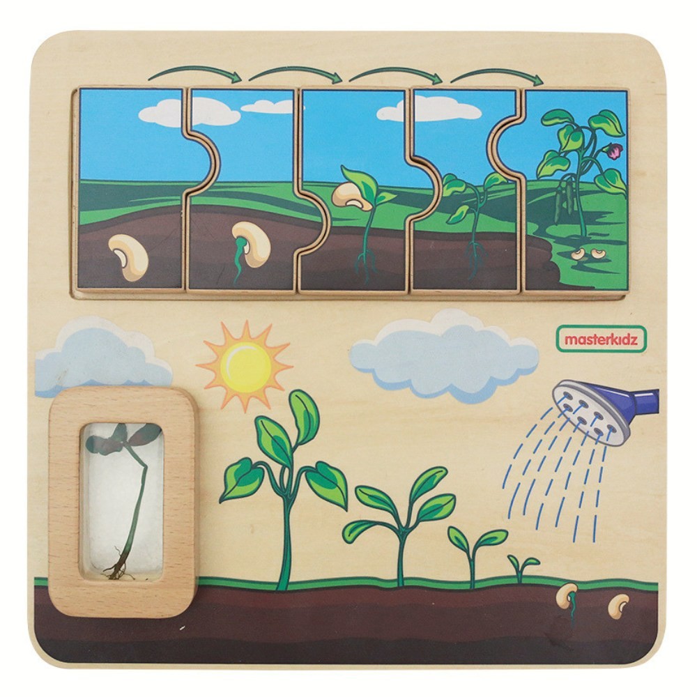 bean life cycle tahvel – MASTERKIDZ puidust Bean Life Cycle tahvel
