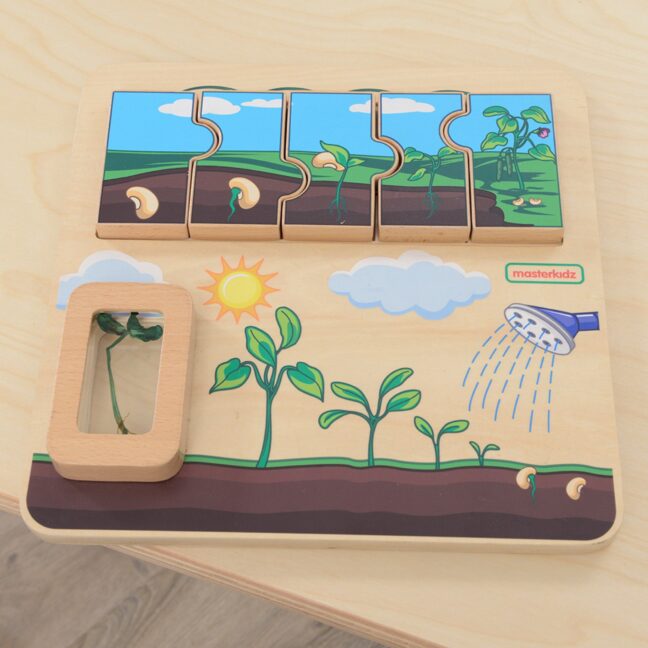 bean life cycle tahvel – detailvaade