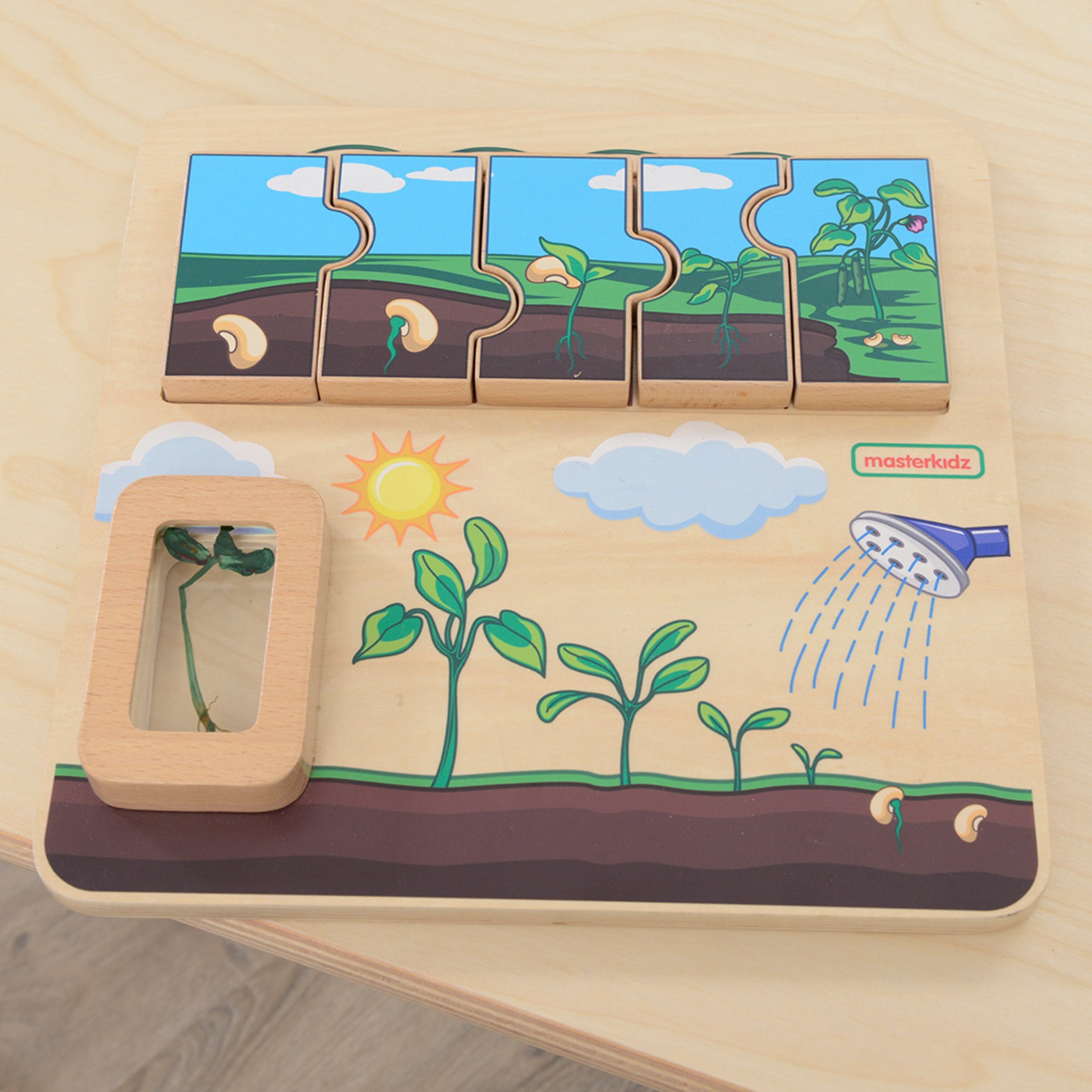 bean life cycle tahvel – detailvaade