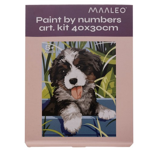 Numbrite järgi maalimise komplekt „Koer“, 40 × 30 cm