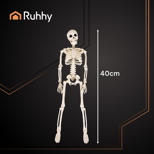 RUHHY riputatav liikuvate jäsemetega luukere, 40 cm