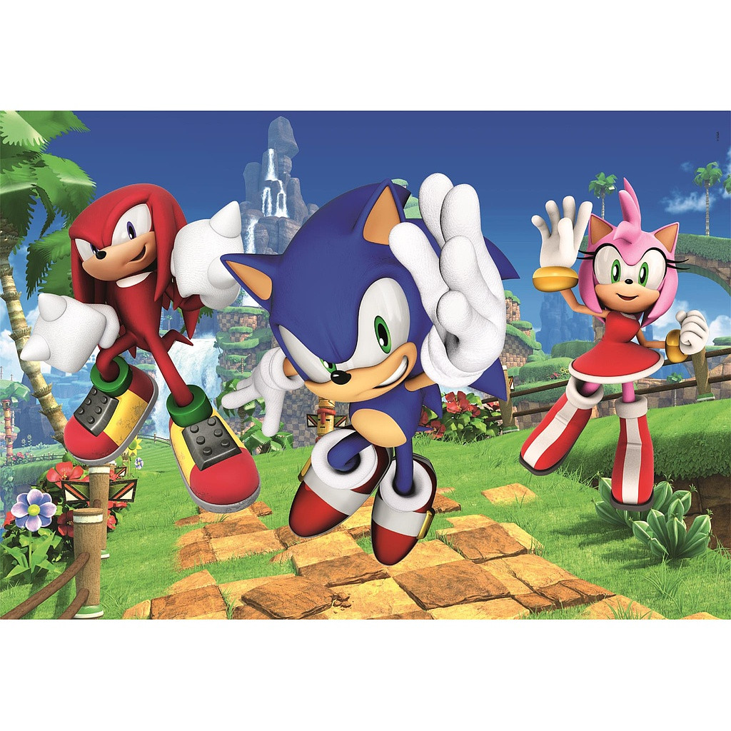 Sonic the Hedgehog Amy Rose Sonic the Hedgehog 104-osaline pusle Clementoni – detailvaade 2