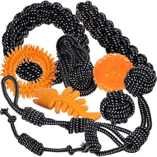 Suur koeramänguasjade komplekt, 10 osa