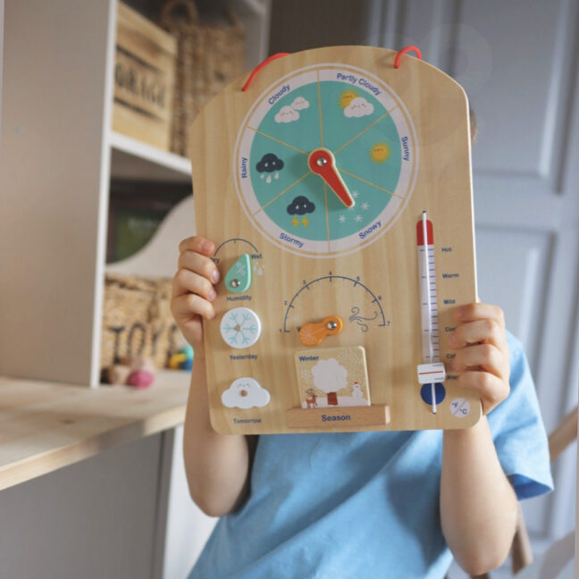 karp pusle abacus weather – detailvaade