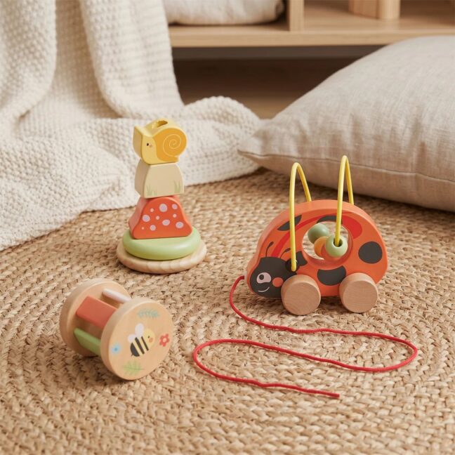 ladybug 3-ühes developmental mängu – detailvaade