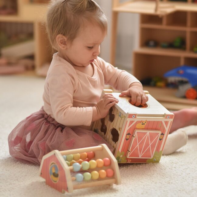 barn tegevus sorteerija abacus – detailvaade