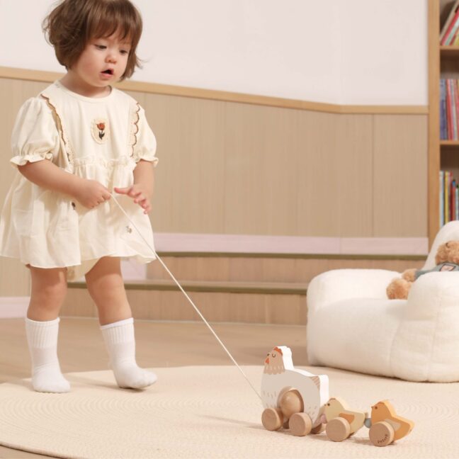 pulling hen chicks mäng – detailvaade