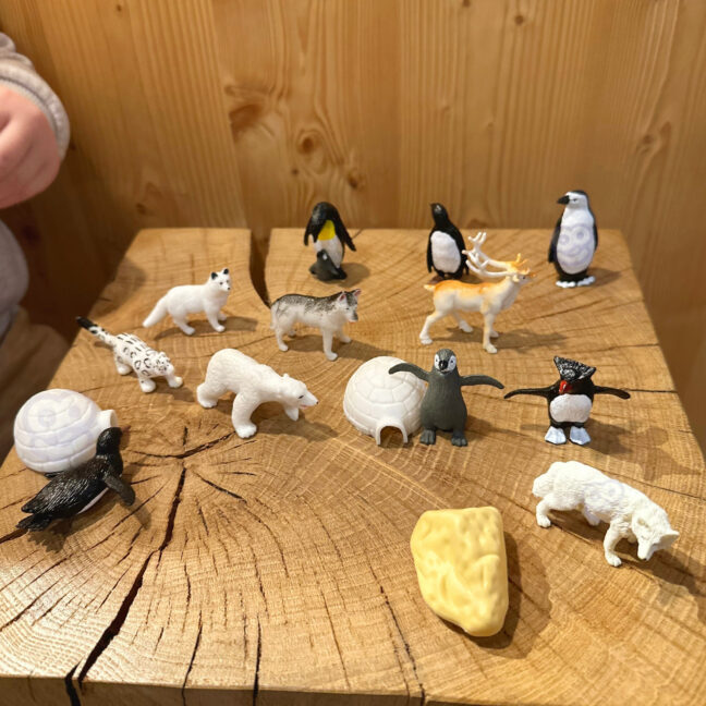 arctic loomad figuurid mäng – detailvaade