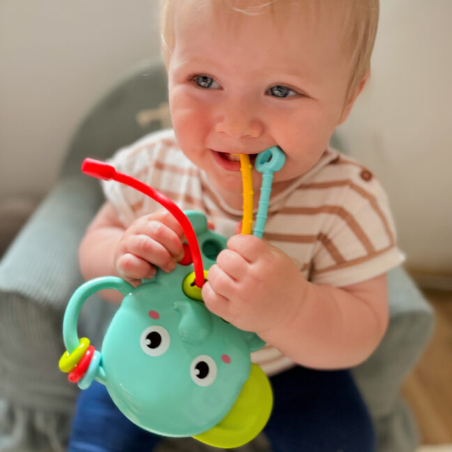 beebi 4-ühes sensoorne elephant – detailvaade