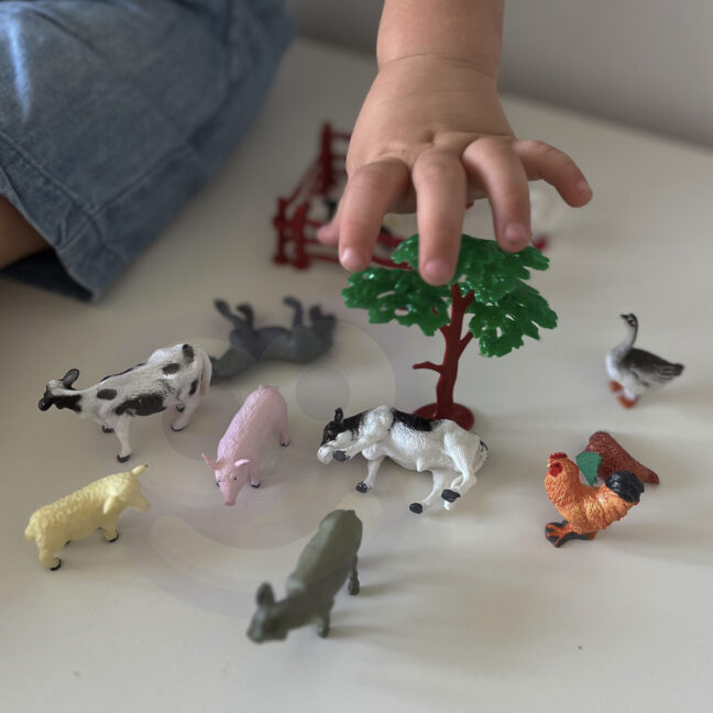 talu figuurid mäng lapsele – detailvaade