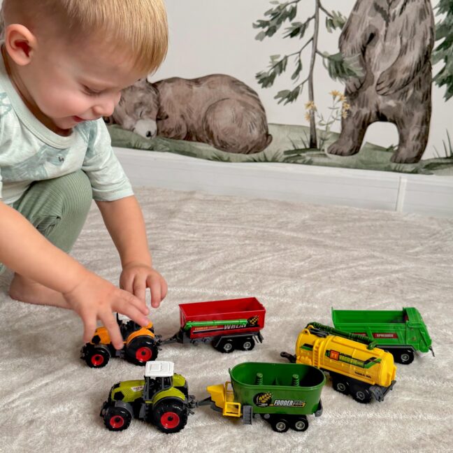mini talunik traktors haagisegas – detailvaade