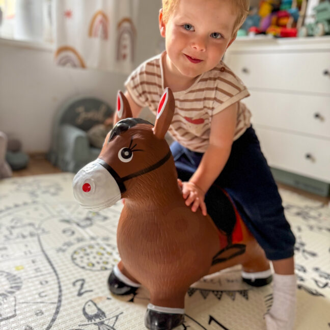 rubber jumper horse pump – detailvaade