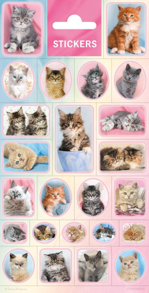 Animals Cats kleeps – tootepilt
