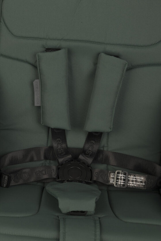 EasyGo Simple jalutuskäru, roheline (Sage Green) – foto 2